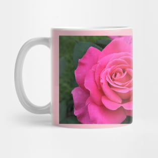 Pink Rose Mug